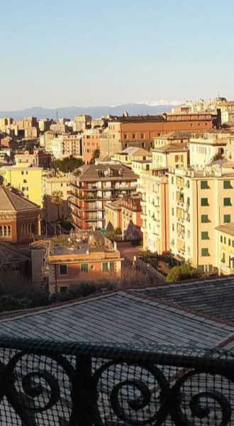Serluca  Tiziana 